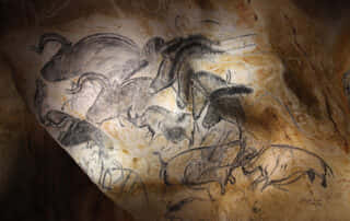 The Chauvet cave 2