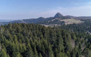 Mont Gerbier de Jonc